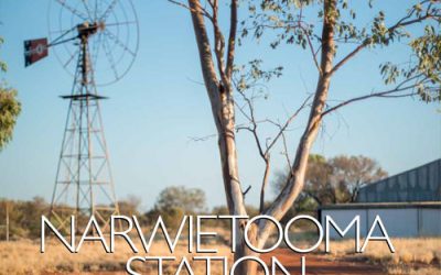 Narwietooma Station – Resident # 27