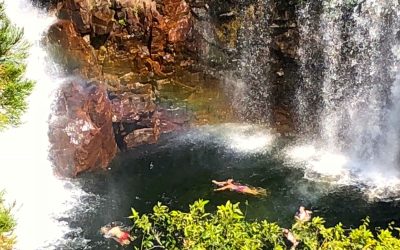 Litchfield National Park & Adelaide River Croc Cruise review – The Big Bus Tour & Travel Guide