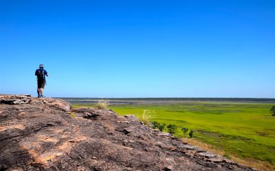 Kakadu Day Trip from Darwin – review – The Big Bus Tour & Travel Guide