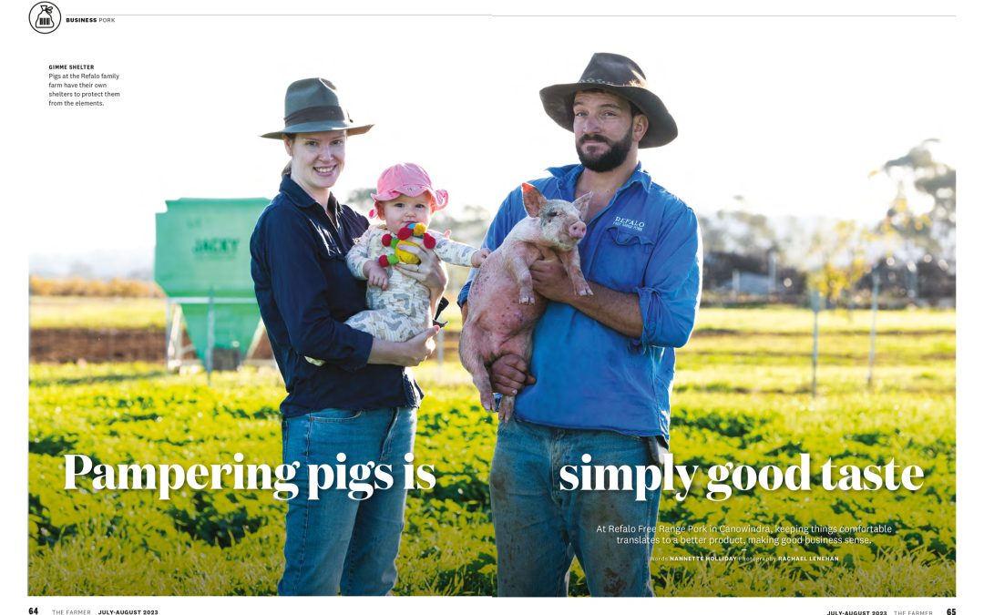 Pampering Pigs is simply good taste – The Farmer