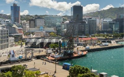 Wonderful Wellington – one of the coolest creative capitals ever – Truly Pacific